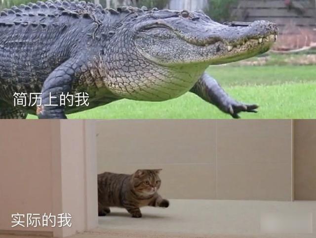 想找一个能满足要求的写真摄影师真的好难,哈哈哈哈