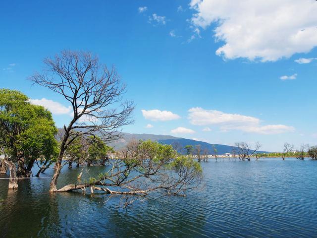 云南,鹤庆,高原水乡