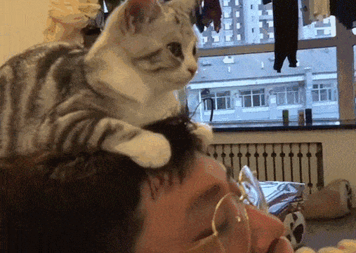 壁纸 动物 狗 狗狗 507_361 gif 动态图 动图