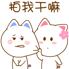 最近流行拍了拍 仙粑也是忙里偷闲 安排了小可爱们一起拍了拍 长按