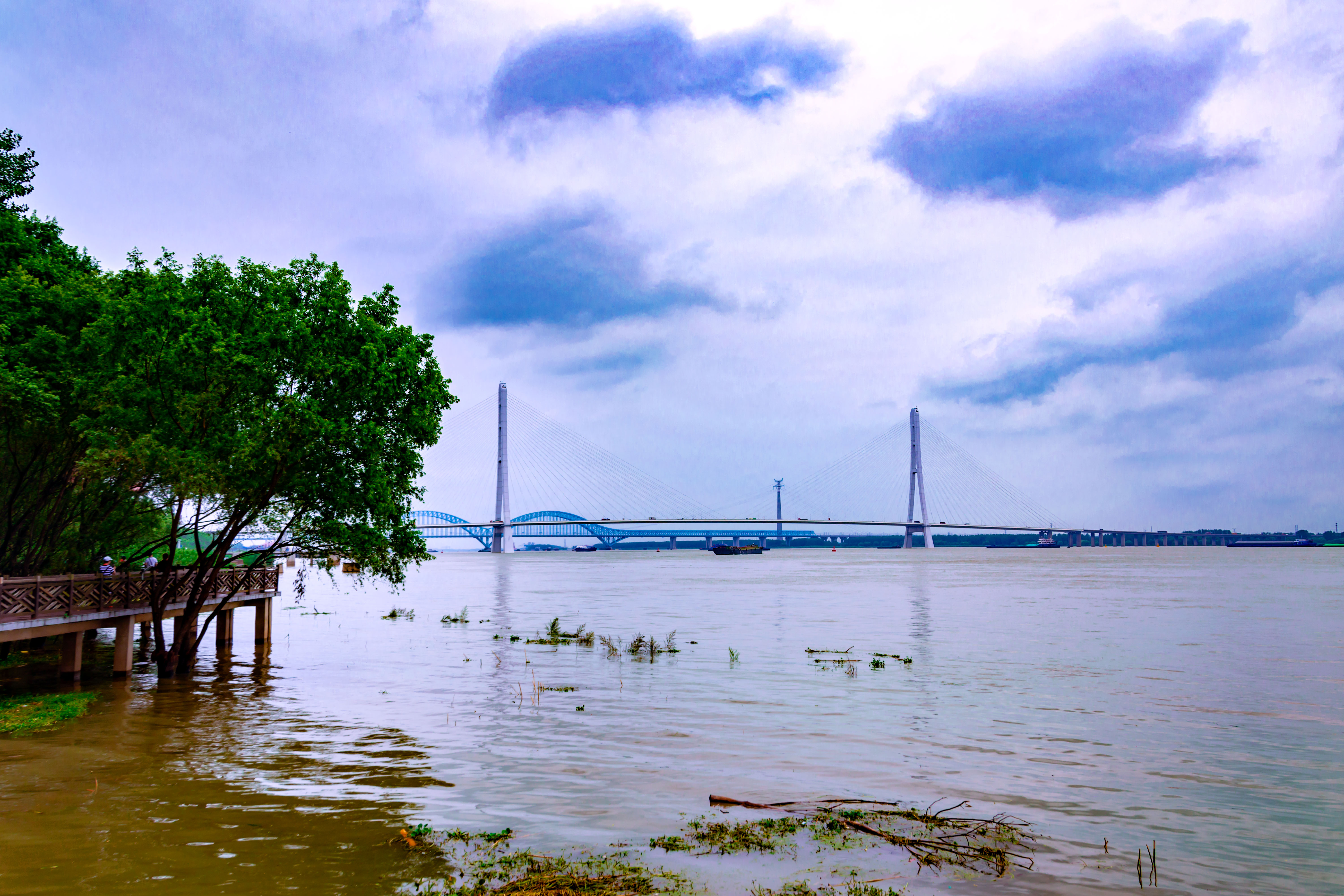 来到南京鱼嘴湿地公园,感受自然生态休闲生活