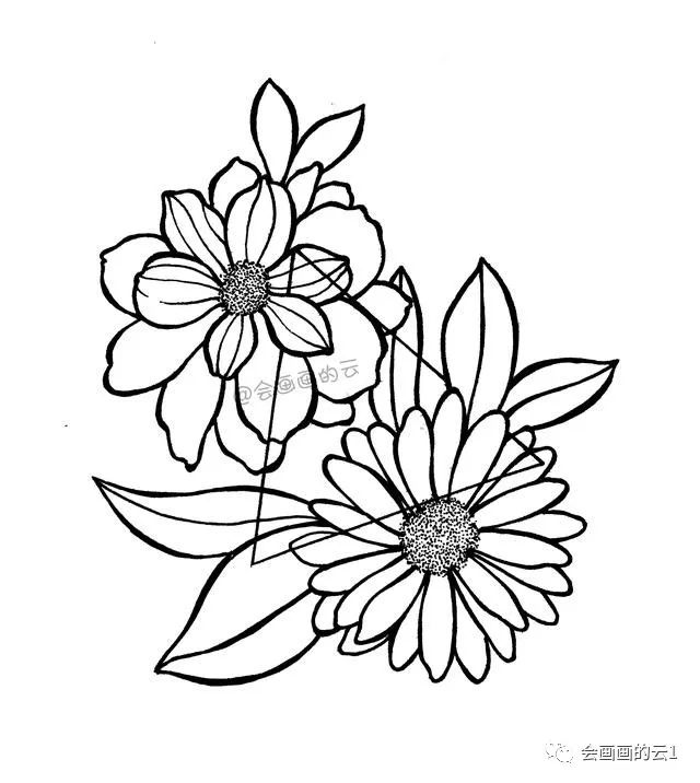 下层的花瓣内部线条可以稍微画多一点,和上层的画层有一个区分