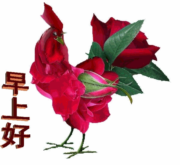 8月最新早上好表情包动态图片大全你好八月早安祝福语朋友圈问候语