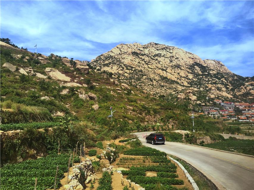 崂山景区,农村,王哥庄街道
