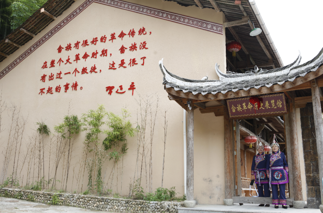 景宁,梅岐村,红色文化,九龙乡,畲族,农产品