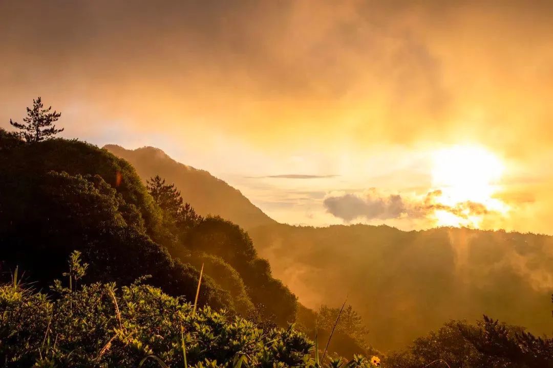 2020海西首届徒步登山节首发站—德化九仙山,成功登顶