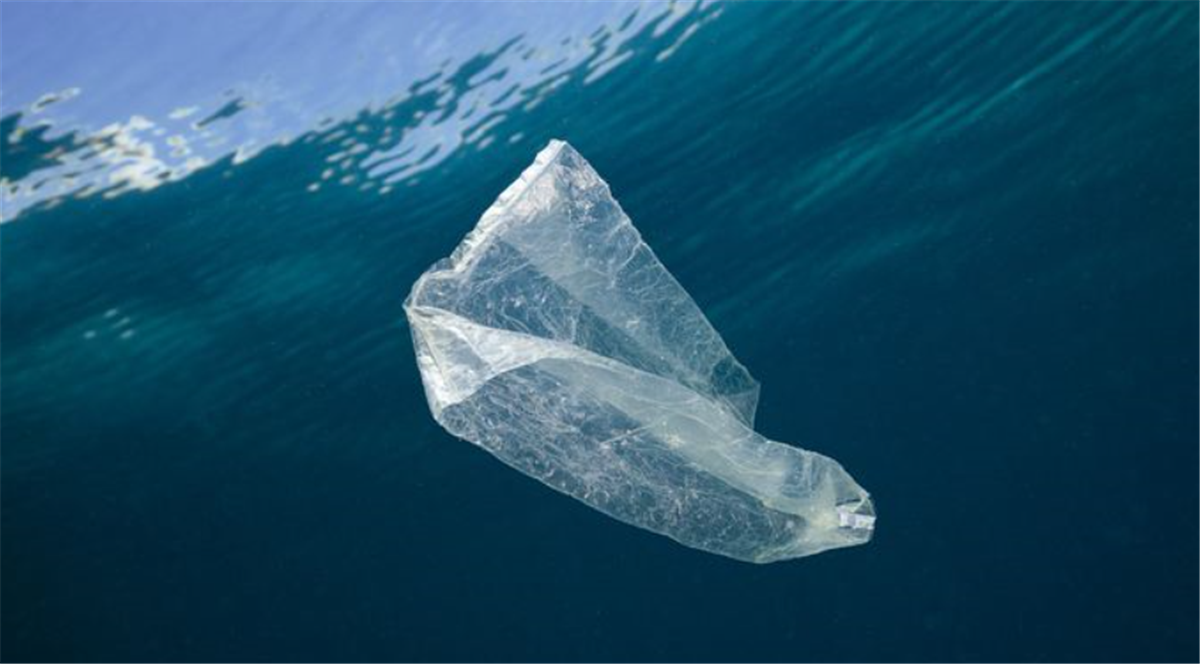海洋垃圾,塑料,环境恶化,海洋,中国