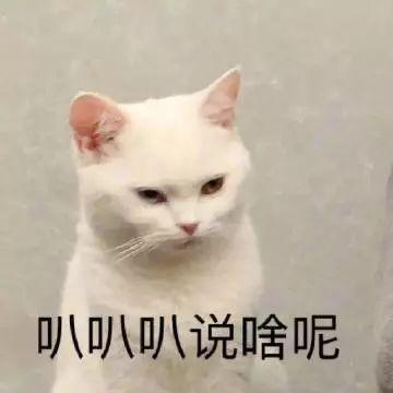 表情包:我好累想要小姐姐的抱抱