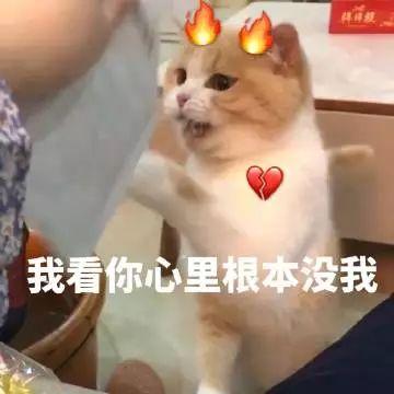 表情包:我好累想要小姐姐的抱抱