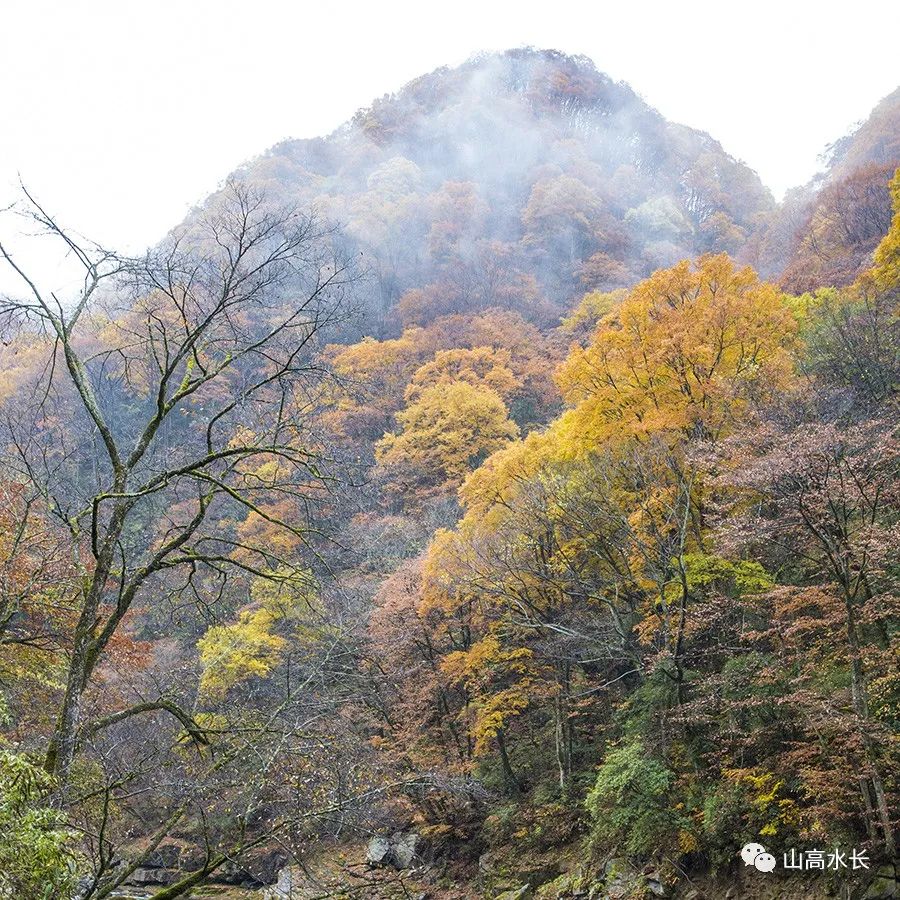 光雾山,红叶,人间仙境,米仓山,国家地质公园,峡谷