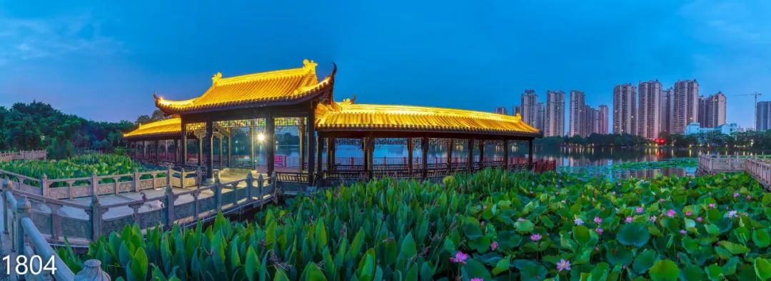 贵港,荷城,平南县,园博园