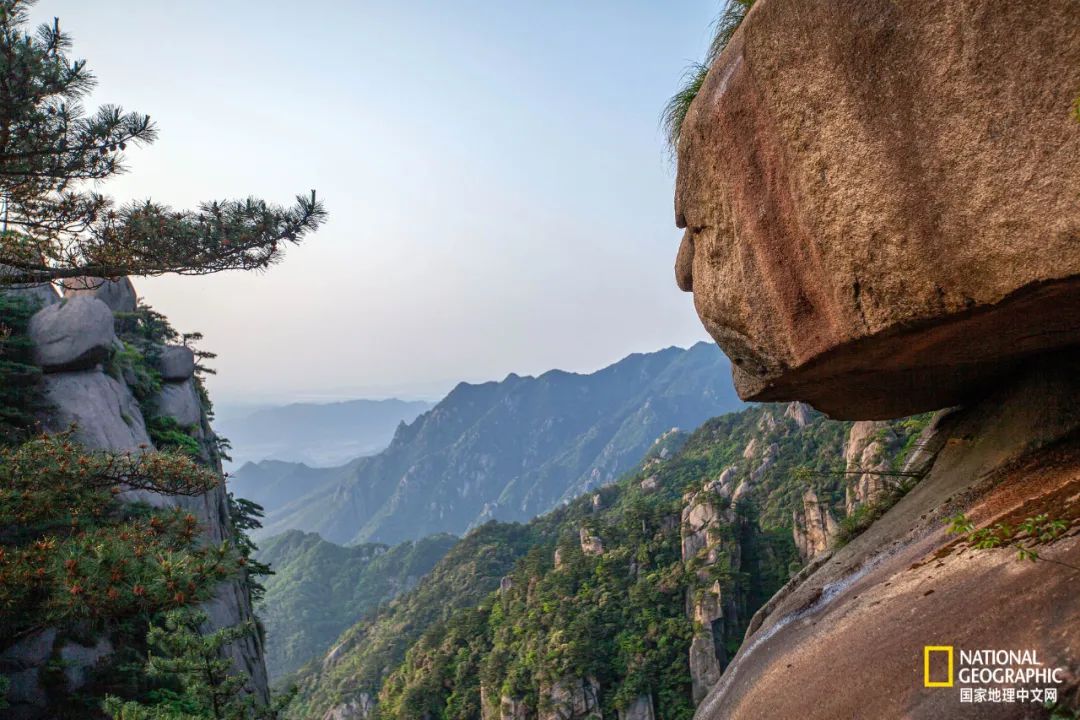 九华山,九华,九华街,杜鹃花,云海,天台峰