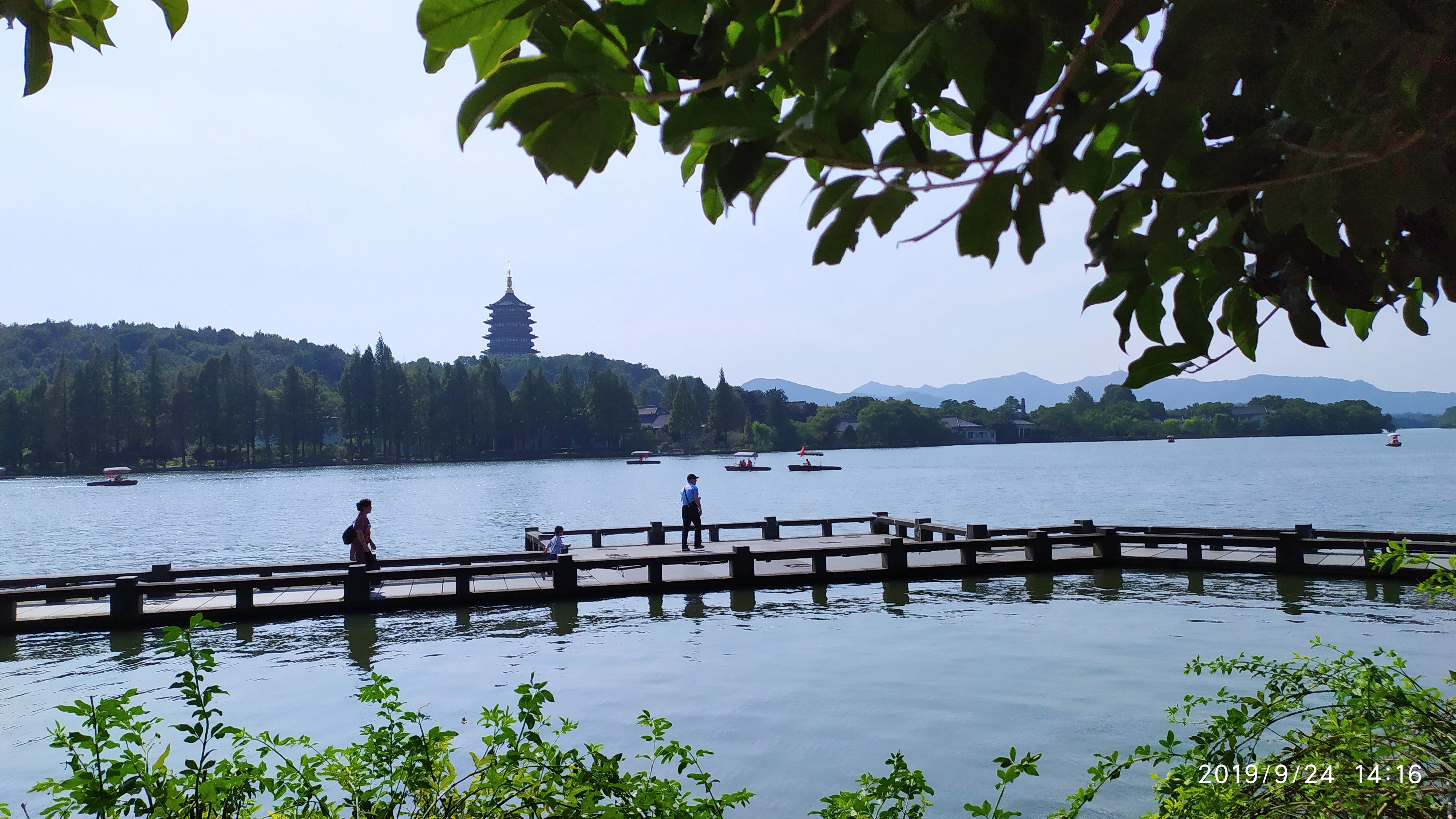 西湖旅游正当时 夏季荷花别样红