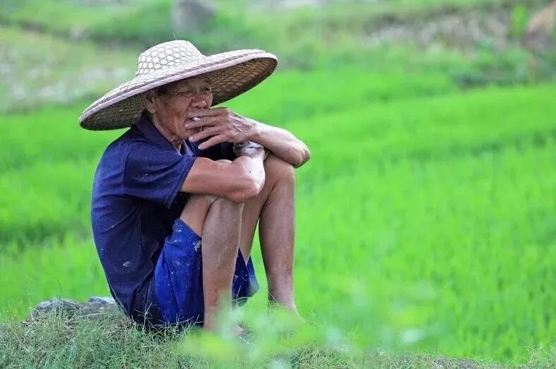 这位大爷在稻田拔草之后,坐在地头歇息.