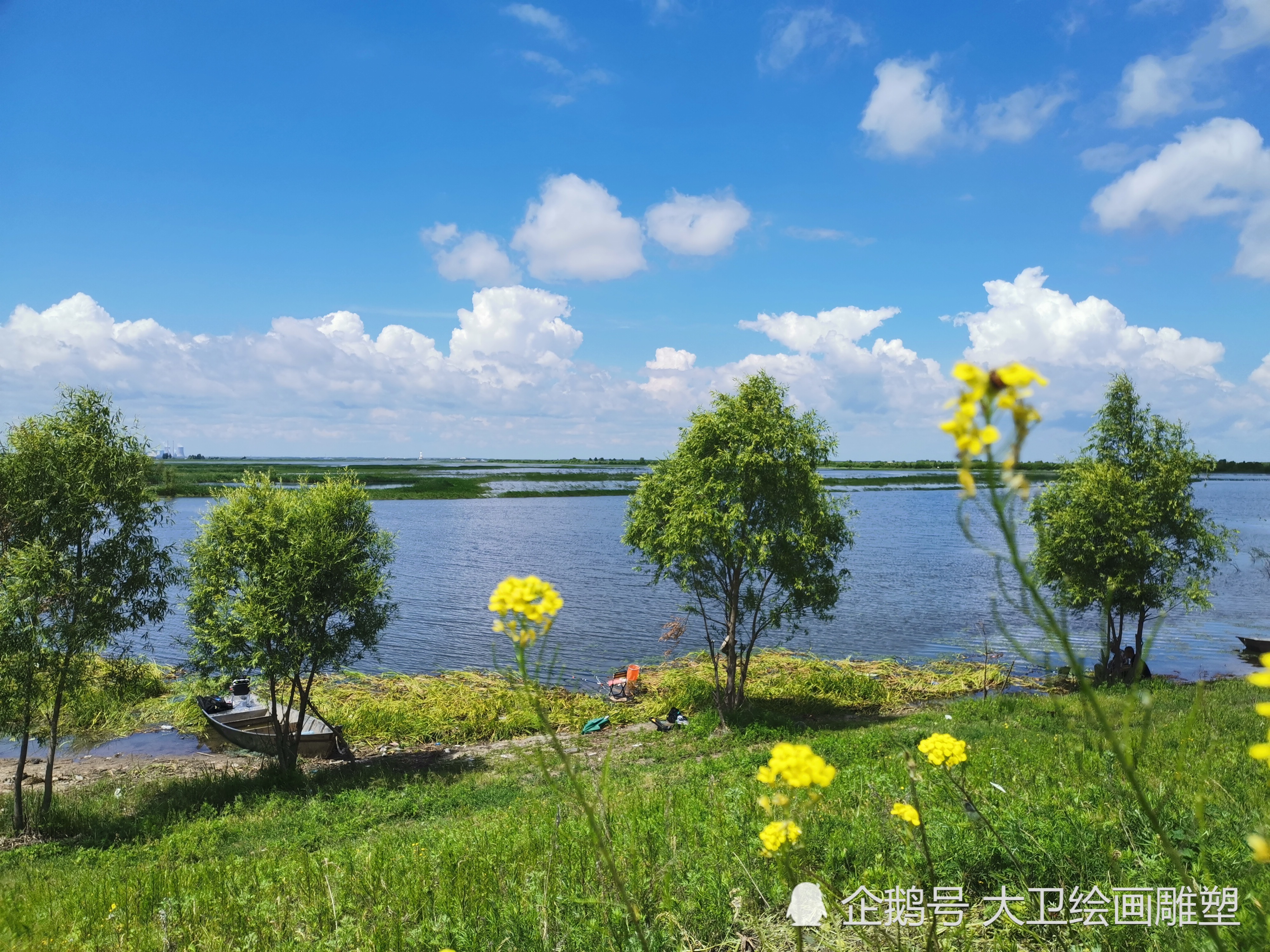 哈尔滨湿地景观,滨江湿地的绿色生机,看了让你流连忘返