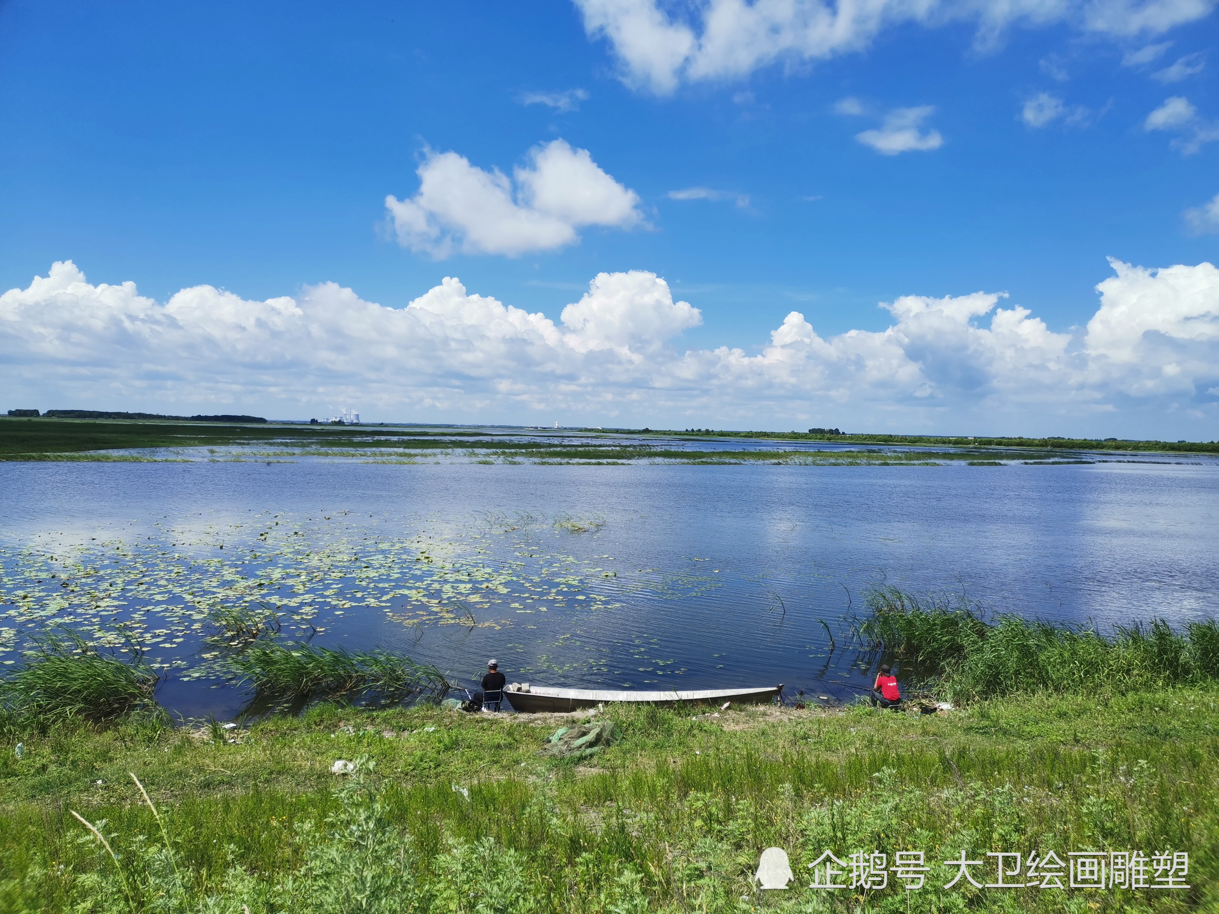 哈尔滨湿地景观,滨江湿地的绿色生机,看了让你流连忘返