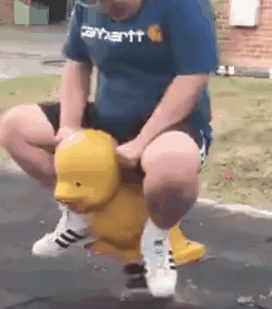 可爱沙雕的动图来惹