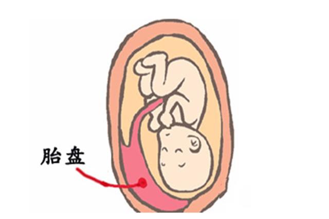 所以说在孕期胎盘的作用很大,但等到宝宝出生之后,胎盘娩出, 这些生理