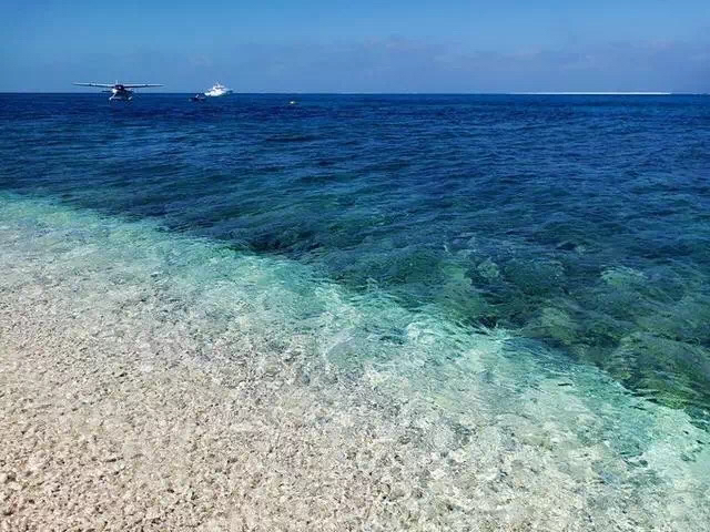 西沙群岛,岛屿,珊瑚,海洋,南海