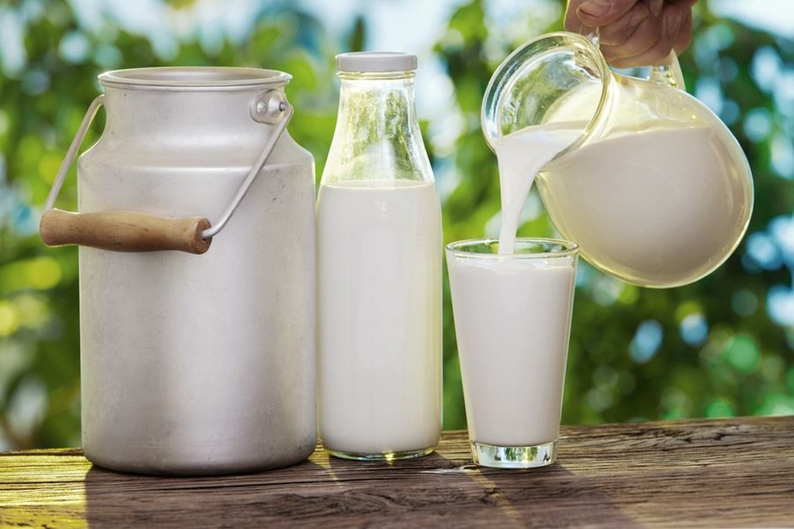 巴氏杀菌牛奶,生牛奶,抗药性基因,超级细菌,未消毒牛奶