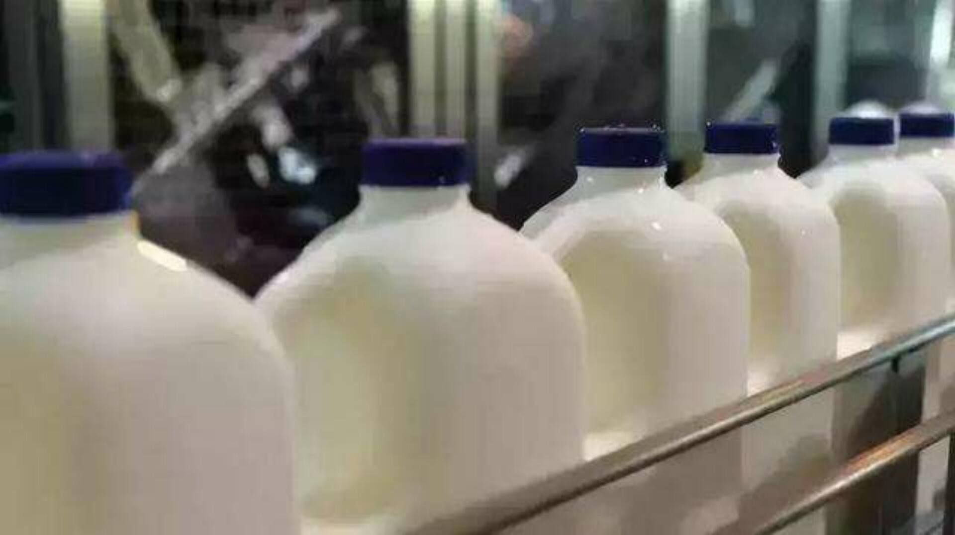 新的研究表明:未经巴氏杀菌的牛奶含有抗药性基因
