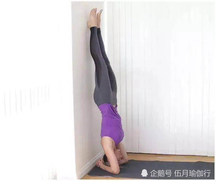 瑜伽,健身,运动,健康,减肥