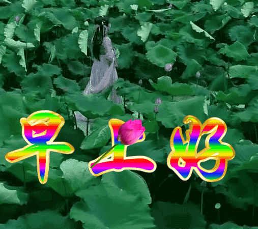 希望你每天都精彩,每步都平安,每刻都快乐!早安!