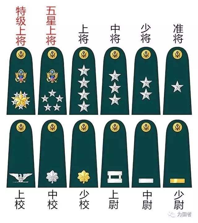 美军军衔,军衔标志,将星,白头鹰,橡树叶