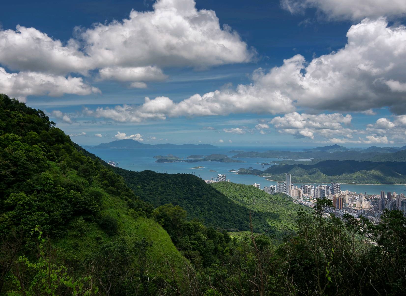 深圳梧桐山,梧桐山上梧桐游,看遍山与海!