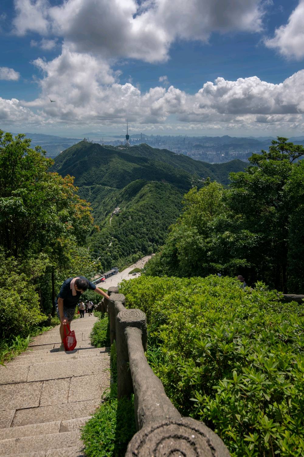 深圳梧桐山,梧桐山上梧桐游,看遍山与海!