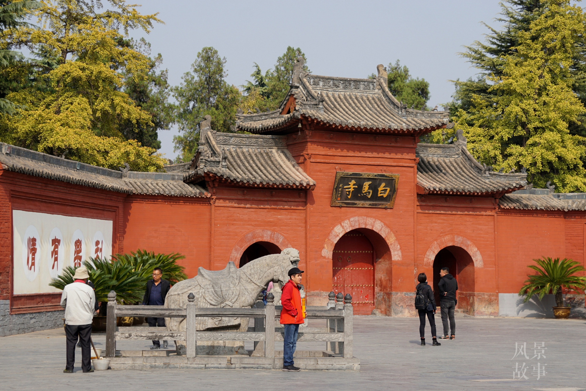 洛阳济源融合发展,这些旅游福利太诱人,济源人更划算
