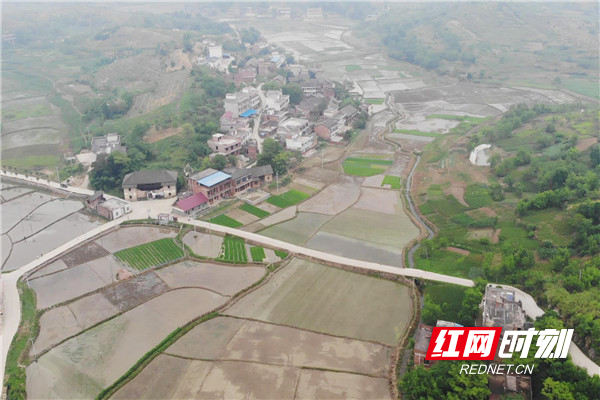 张天野 通讯员 曾桢 谭琼 赵倬跃)衡阳市祁东县蒋家桥镇新岭村距县城