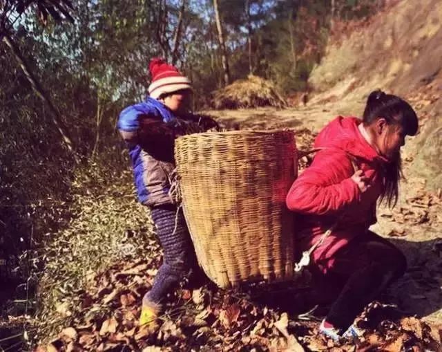 那些年农村孩子吃过的苦,触动了多少丰县人