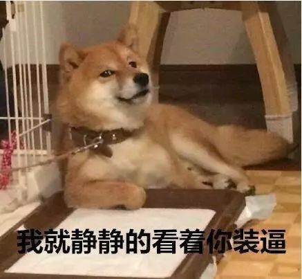 表情包,柴犬,沙雕,斗图,日本狗