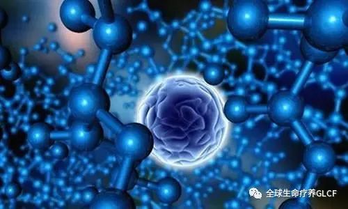肿瘤免疫细胞治疗最新研究进展