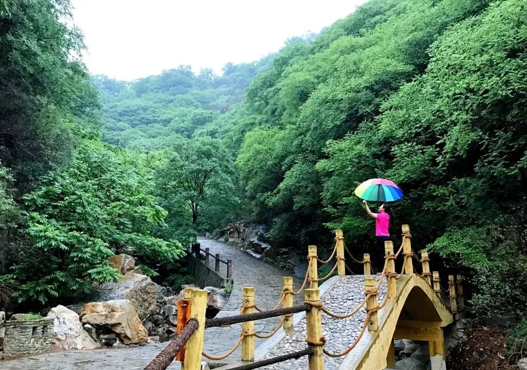 梨木台门票限时半价!这次全国游客都优惠哦