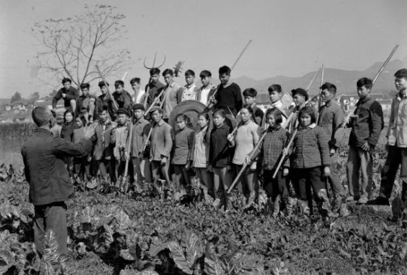 老照片:70年代让人怀念的生产队大集体时代,满满的年代感