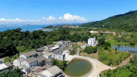 这里曾被誉为深圳