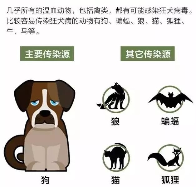 狂犬病毒,狂犬病疫苗