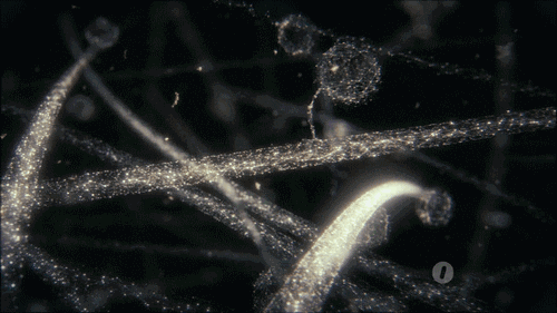 生物学博士推荐的10本外文经典书籍