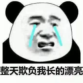那些怼人必备的熊猫头表情包1.0