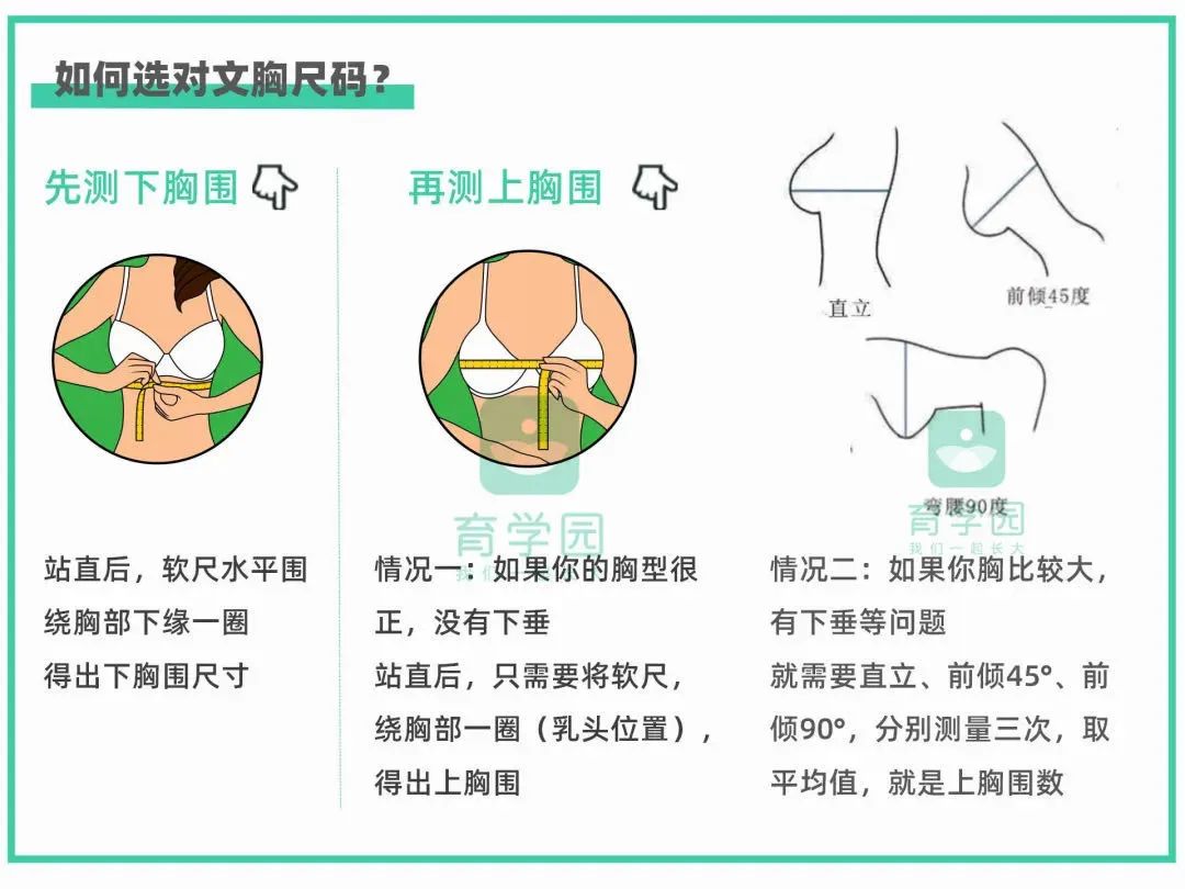 乳房,发育,乳头,胸部,乳腺增生