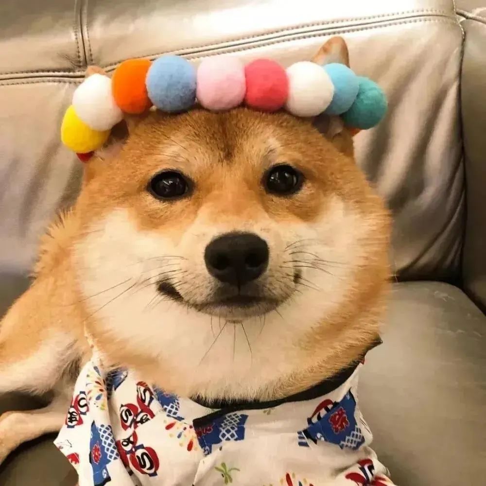 情侣头像 兄弟头像 闺蜜头像 萌宠头像