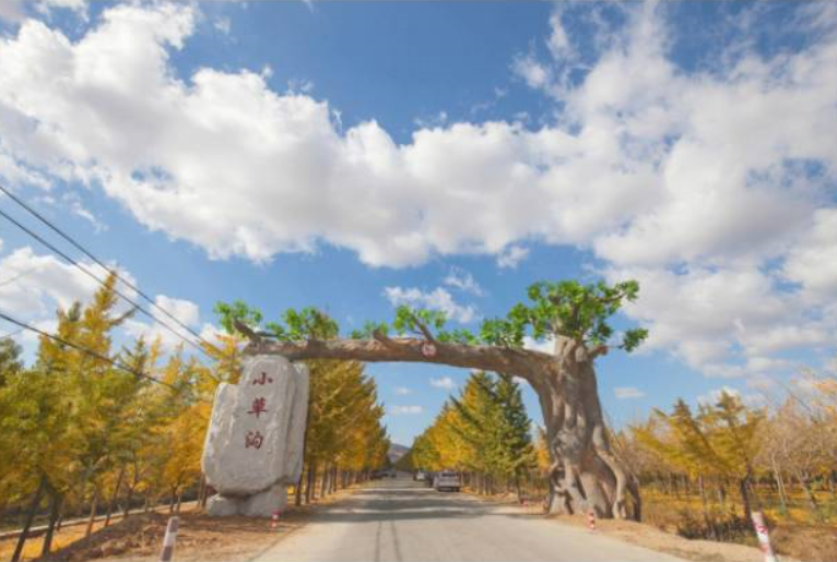 小草沟