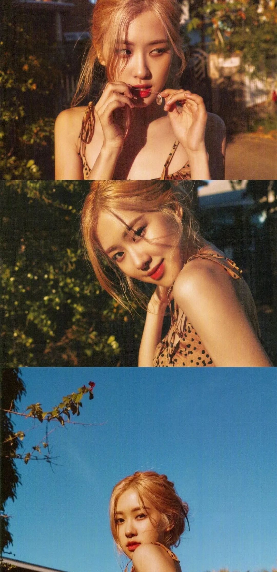 壁纸blackpink壁纸