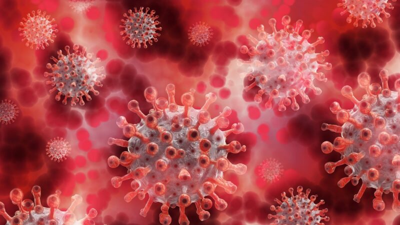 顶级专家福西:新冠病毒或已突变并且传播更快