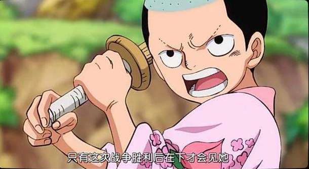 《海贼王》桃之助是和之国的绝佳领导者,他的能力不比