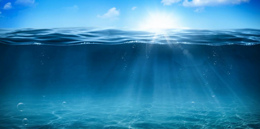 当你潜入一万米深处的海底能看见什么?喝一口那的海水