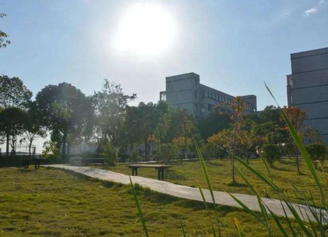 大学,教育,毕业,湖南三一工业职业技术学院