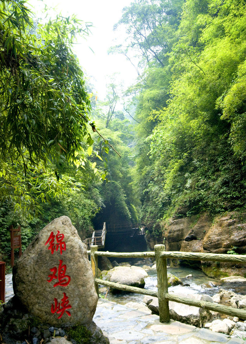 重庆避暑我选黑山谷,它不仅是一个天然氧吧还是重庆最美养生峡谷